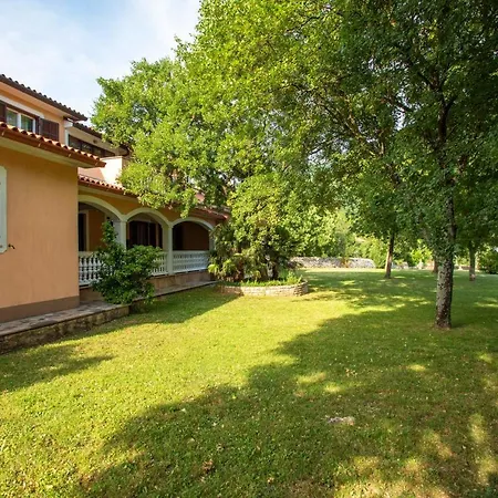 Vozila